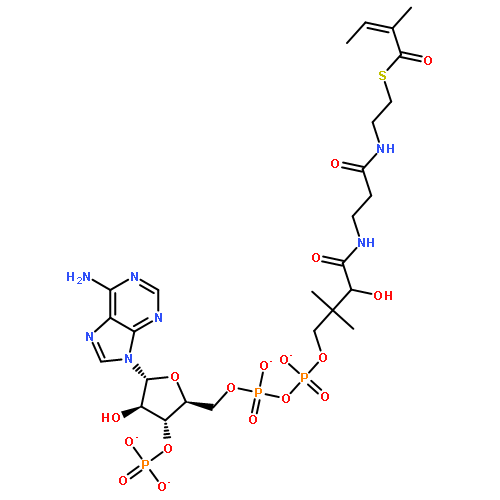 Tigloyl-CoA