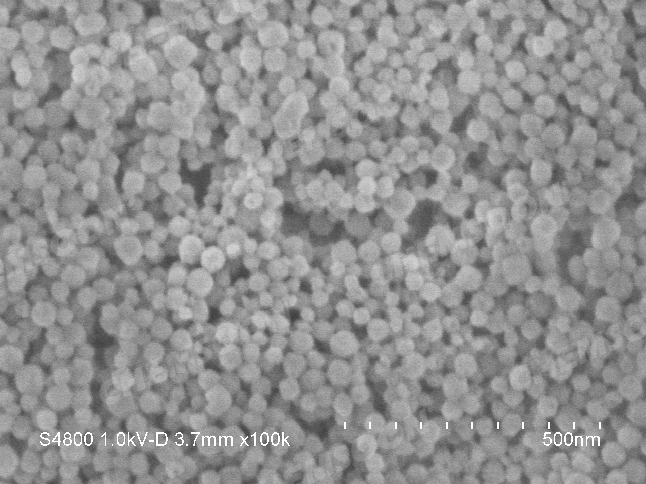 SEM-NH2-UIO-66 nanoparticle s