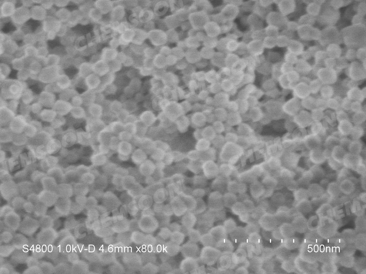 SEM-MOF-808 nanoparticles