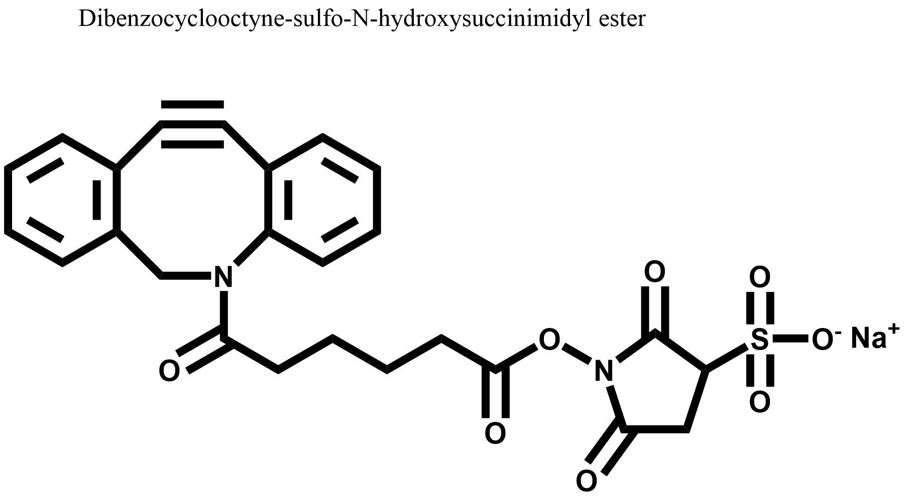 DBCO –Sulfo– NHS Ester