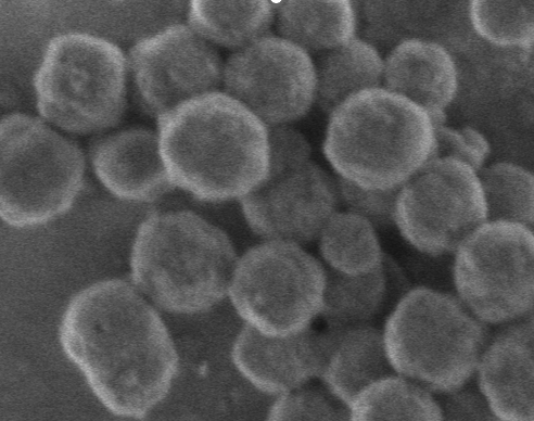 大孔MOF-用于酶固定