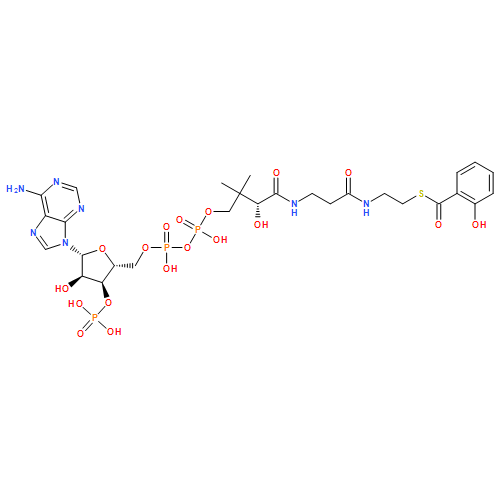 2-Hydroxybenzoyl-CoA
