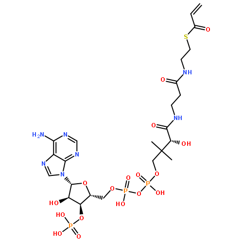 Acryloyl-CoA