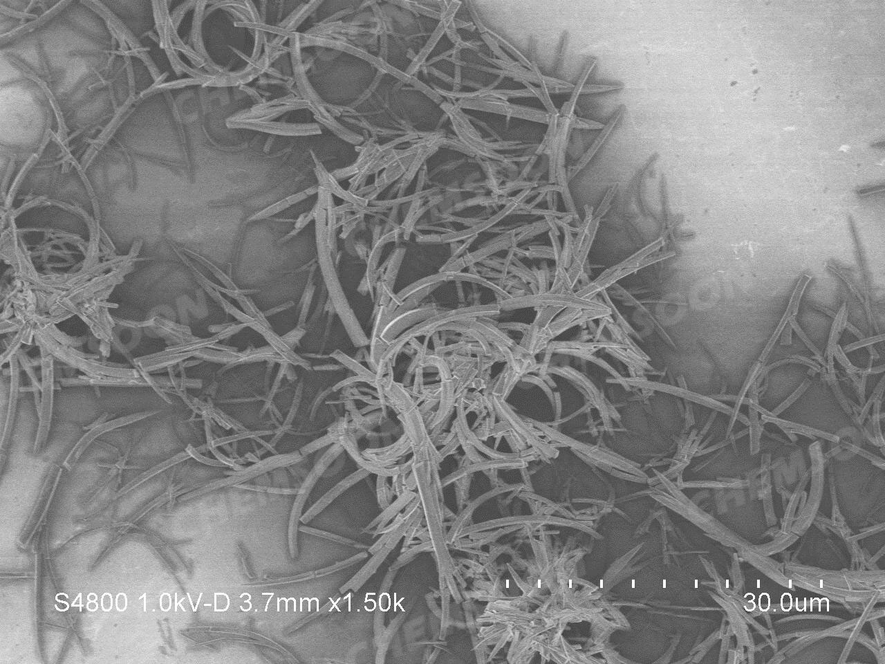 SEM-HOF-102