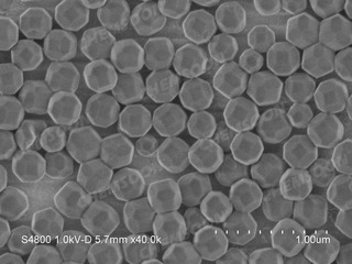 SEM