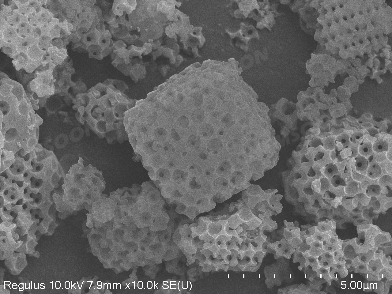 SEM-SOMZIF-8