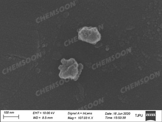 SEM-NO2-MIL-101-Cr
