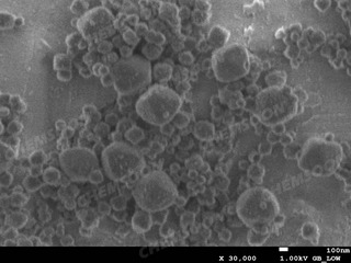 SEM-UiO-66--CF32