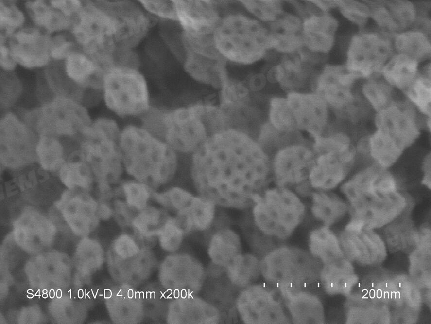 SEM-HMUIO-66-1
