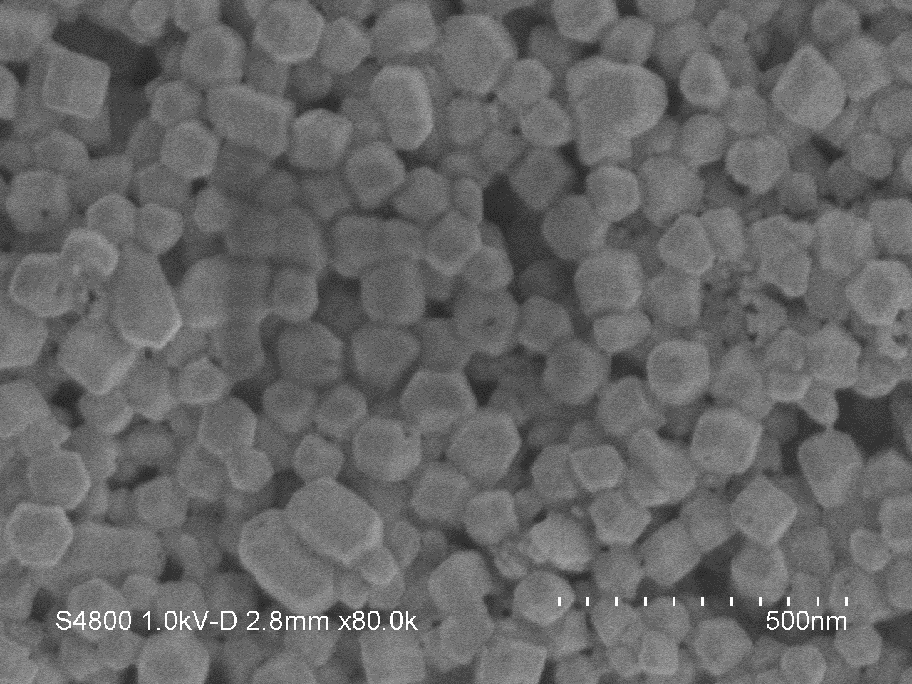 SEM-ZIF-8-50-100nm