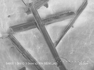 SEM-PCN-222-Cu