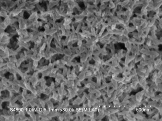 SEM-500nm-PCN-222(Mn)-nanoparticles