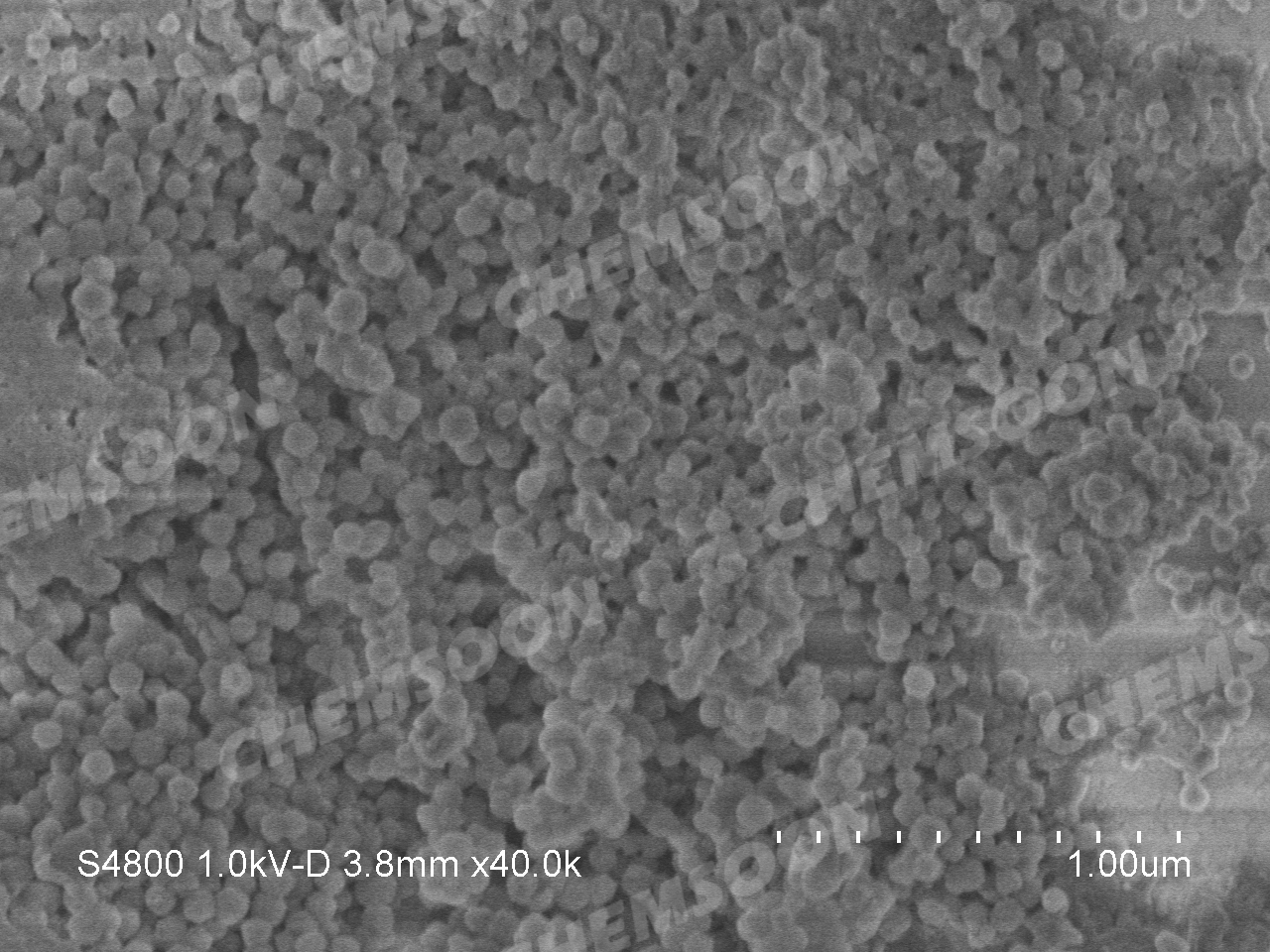 SEM-MIL-101Cr nanoparticle