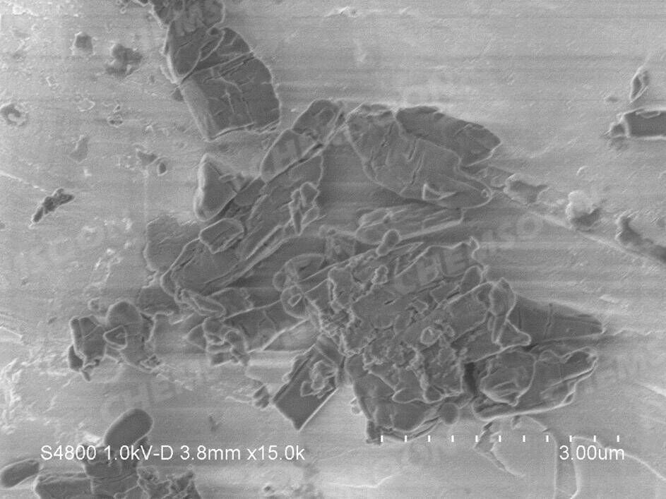 SEM-CALF-20