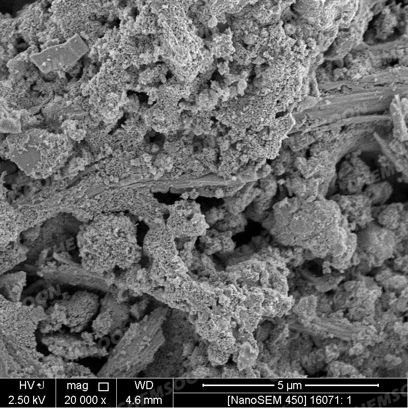 SEM--TpBD-COF-CS018582-3