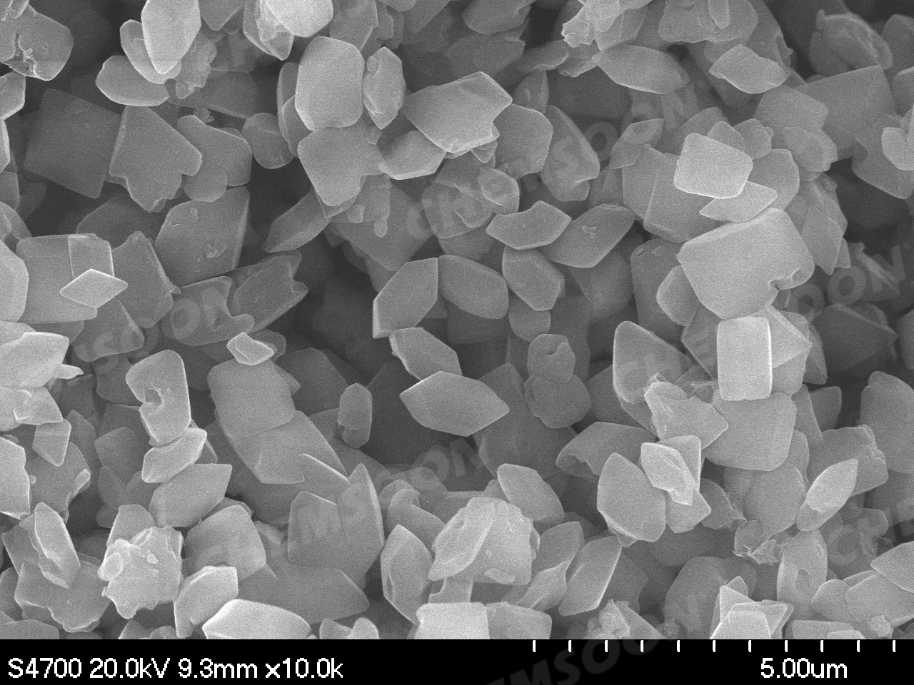 SEM-NH2-MIL-125Ti