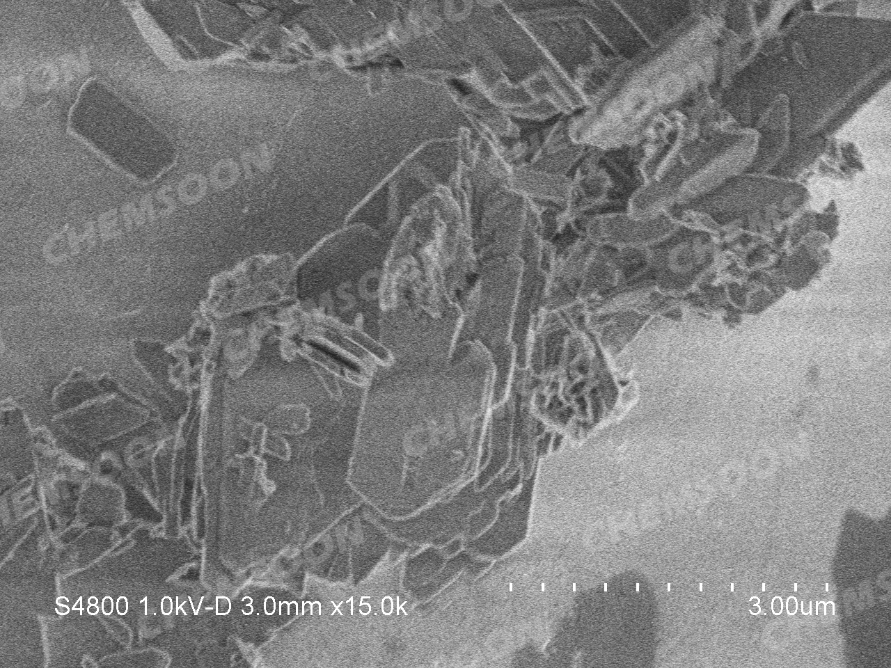 SEM-Co-CUK-1