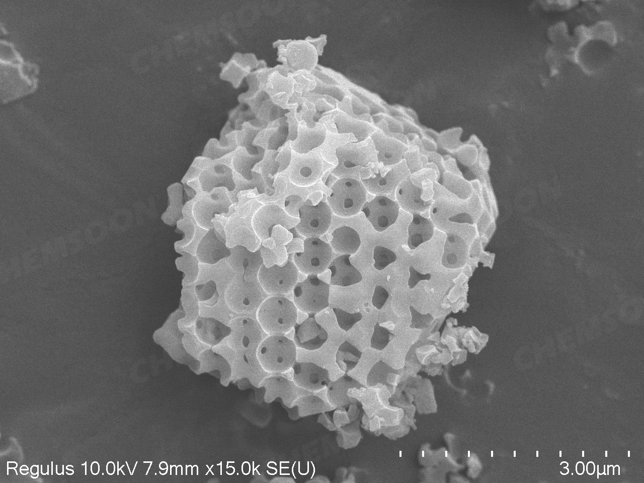SEM-SOM-ZIF-8