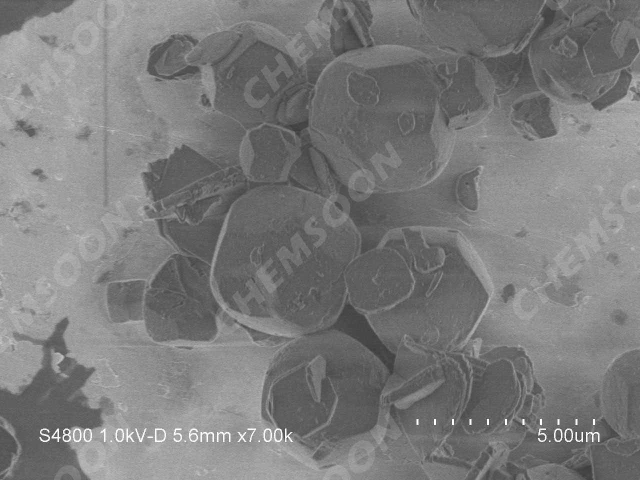 SEM-ZIF-11