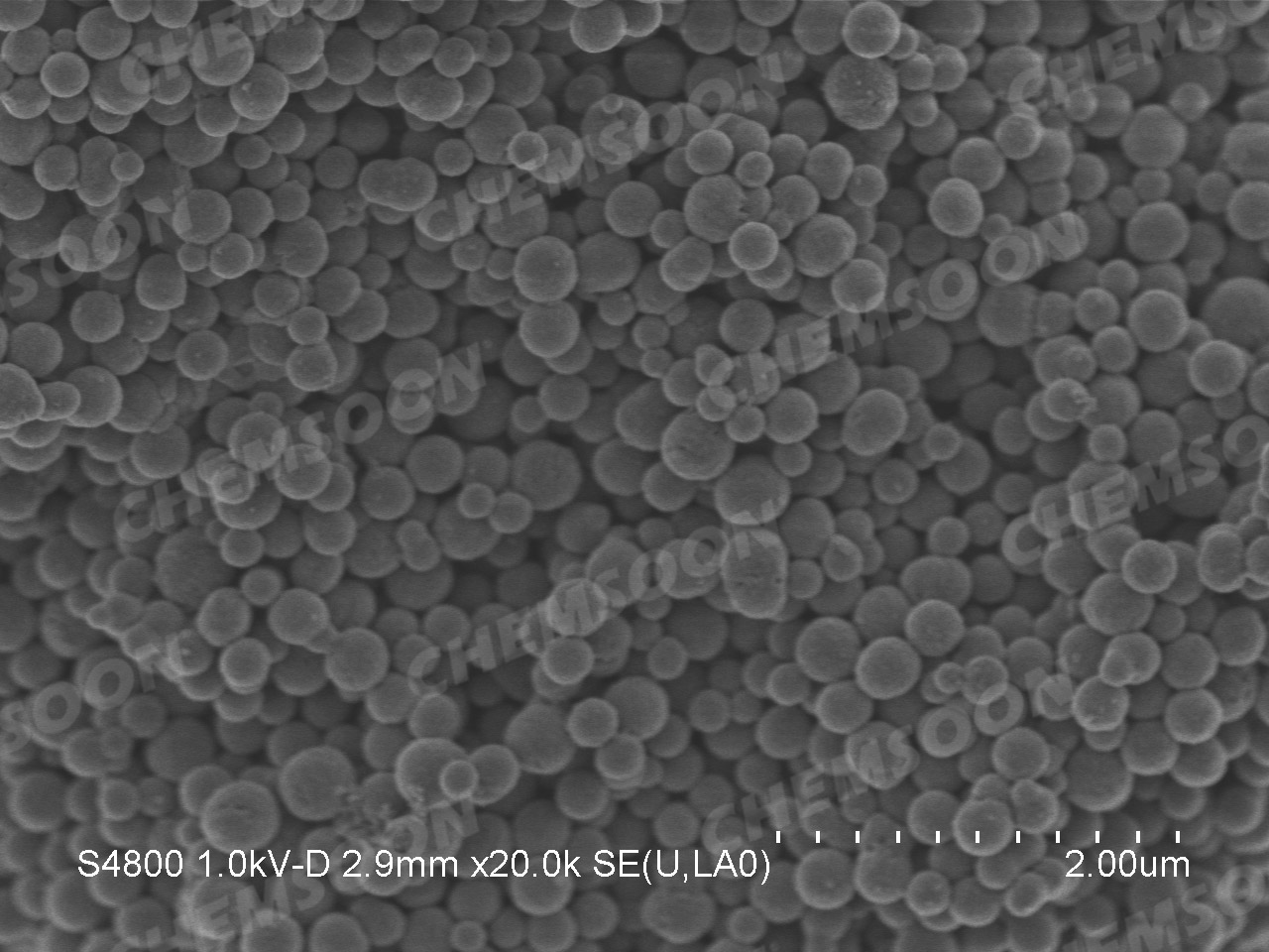 SEM-nanosized TpPa-1