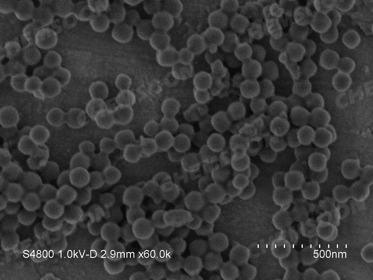 SEM-PCN-224 nanoparticles