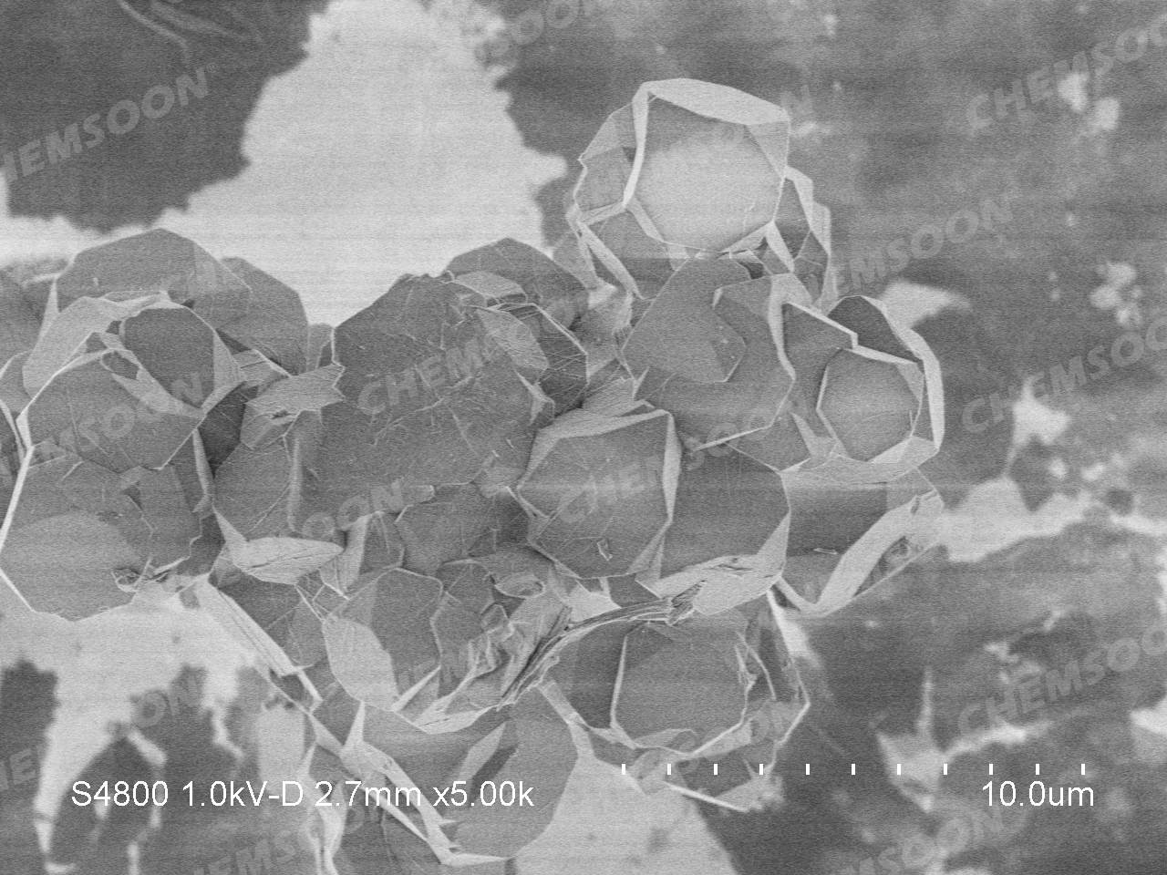 SEM--DUT-67 CS016725