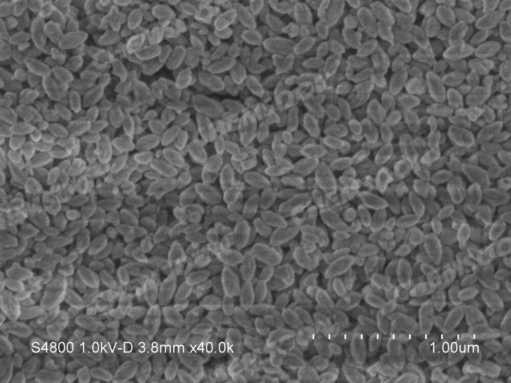 SEM-PCN-222-nanoparticle